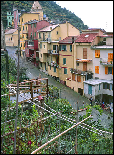 The gardens and houses lining the
                hills of Manarola, Italy